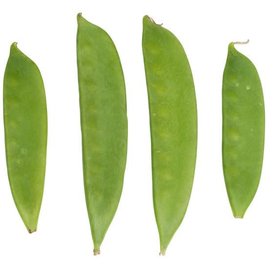 canva lima beans MAC9snEogs4