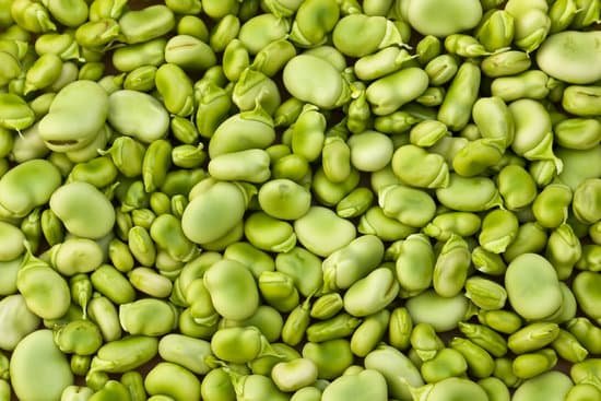 canva lima beans background MAC5KSvd9wA