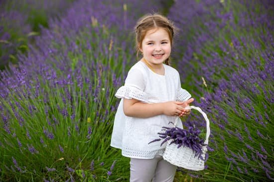 canva little girl in a lavender field MAEEgwPgUAs