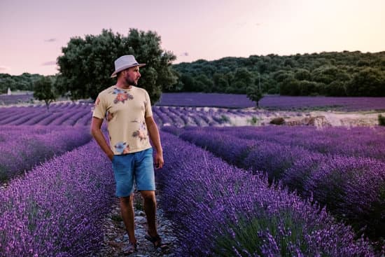 canva man walking through a lavender field MAER zNuOEw