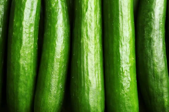 canva many green fresh cucumbers as background MAD9bgqG0Kw