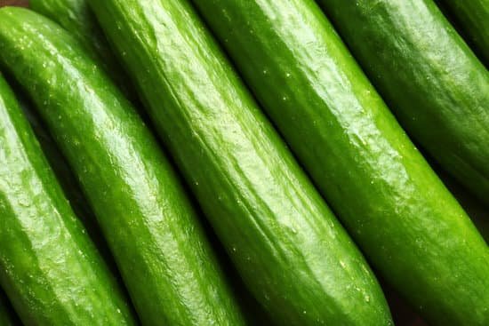 canva many green fresh cucumbers as background MAD9bhrMQi4