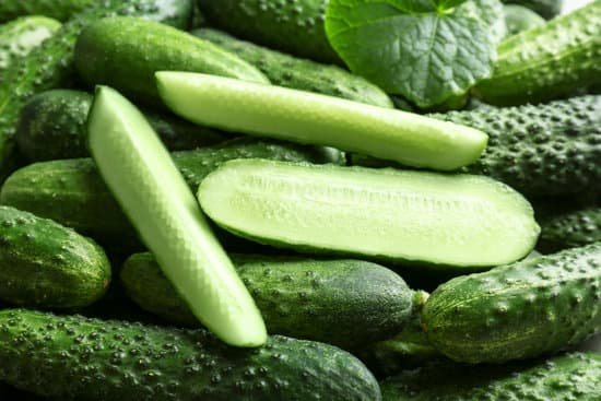 canva many green fresh cucumbers as background MAD9blzZCtU