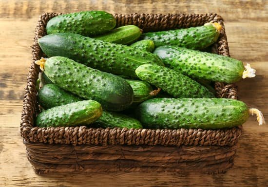 canva many green fresh cucumbers in wicker basket on wooden table MAD9bnNBEdM