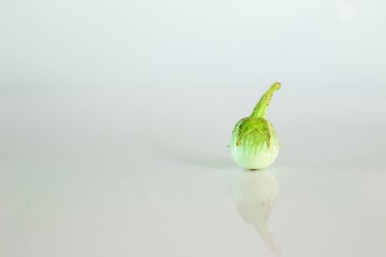 canva mini round eggplant MAEFVPVSt0U