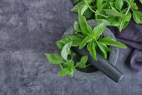 canva mortar with basil leaves for pesto sauce on gray table MAD9ULpszOA