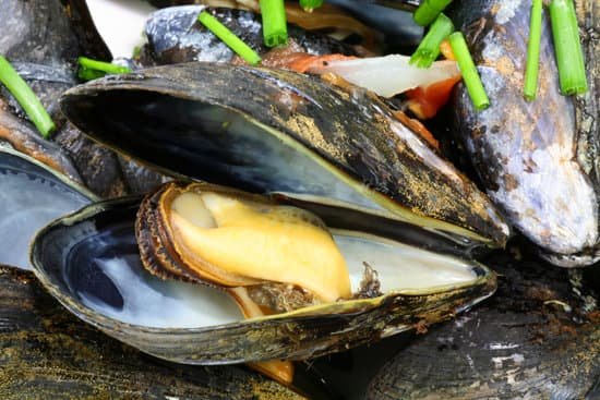 canva mussels and chives MAC51Q2ygdw