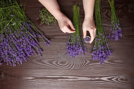 canva person arranging lavenders on wooden table MAEPV8LtfQI