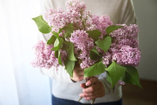 canva person holding bouquet of lilac flowers MAD Q43nwrs