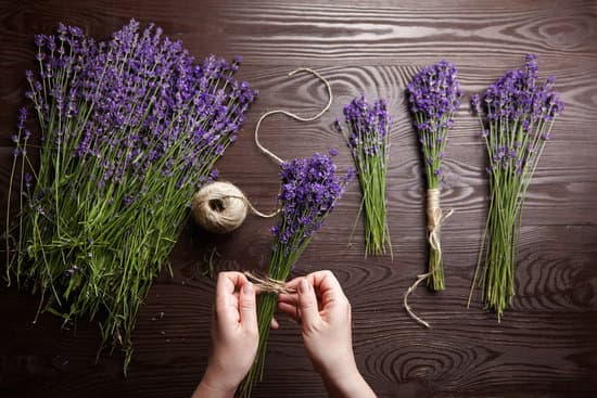 canva person making bouquets of fresh lavender