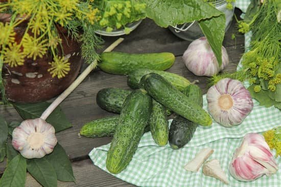 canva pickling cucumbers MADBOZB 2dE