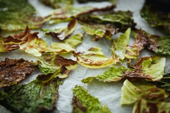 canva pieces of lettuce on parchment paper MAD9T4 0MLE