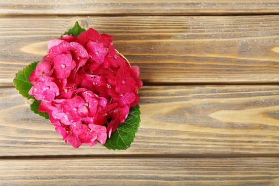 canva pink hydrangea flowers on wooden table MAD MX3tWYQ