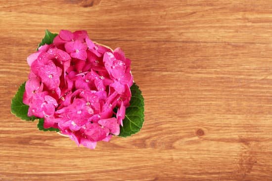 canva pink hydrangea on wooden background MAD McMTcbQ