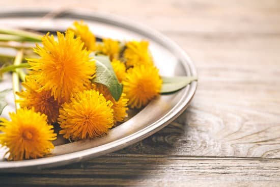 canva plate with beautiful dandelions on wooden background MAD8BZZLaAE