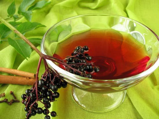 canva punch with elderberries MAC6Ju7ub7U