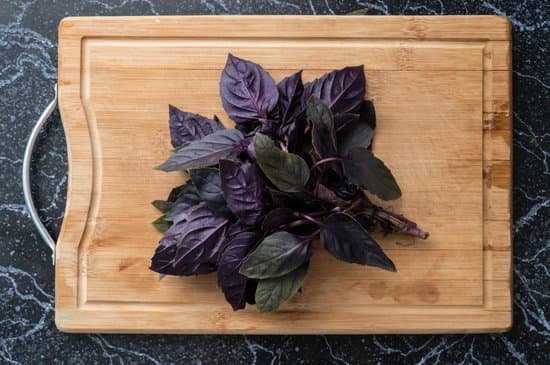 canva purple basil leaves on wooden cutting board MAEB2BLf0 8