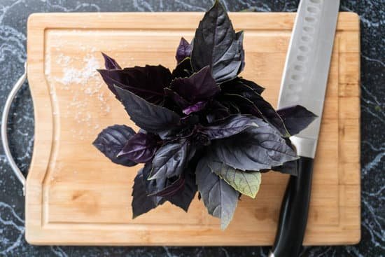canva purple basil leaves on wooden cutting board MAEB2DkiYs4
