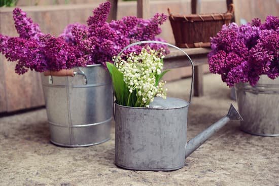 canva purple lilac and may lilies in metal bucket and watering can MAD Qhja0R0