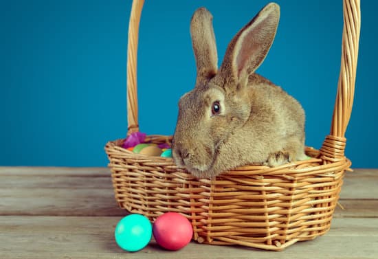 canva rabbit in easter egg basket MAEbcINPk A Copy