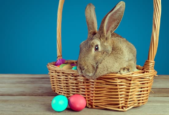 canva rabbit in easter egg basket MAEbcINPk A