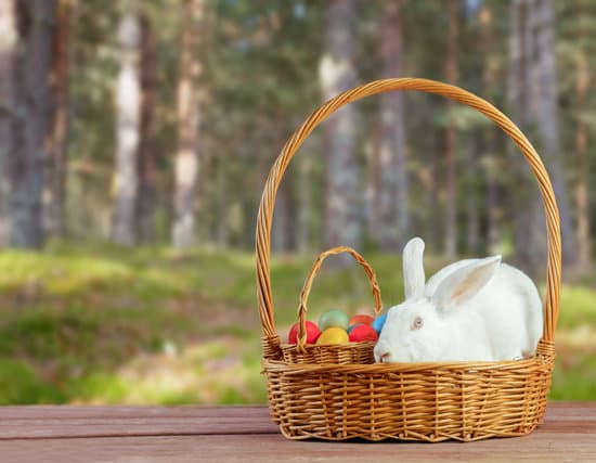 canva rabbit in easter egg basket MAEbcOOvTd0