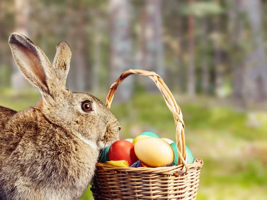 canva rabbit with easter egg basket MAEbcADJlbc
