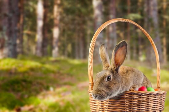 canva rabbit with easter egg basket MAEbcJQ2Wwc