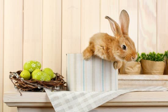 canva rabbit with easter eggs on a shelf MAD Mc0Vnrw