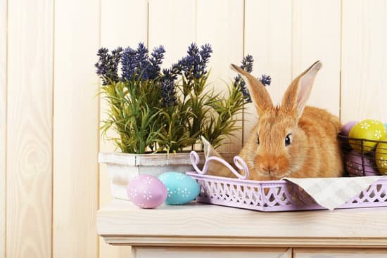 canva rabbit with easter eggs on a wooden shelf MAD MYvFMzU