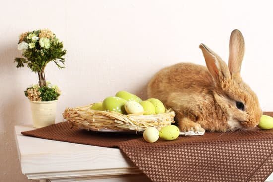 canva rabbit with easter eggs on shelf MAD MdS45j4