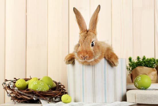 canva rabbit with easter eggs on shelf on wooden wall background MAD MQ5W7k4