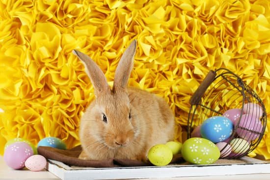 canva rabbit with easter eggs on yellow background MAD MT2 jKg