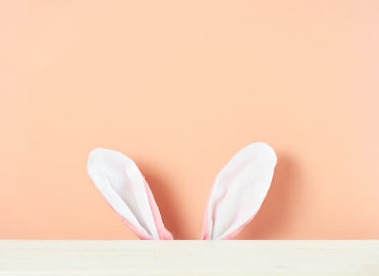 canva rabbits ears sticking out a table MAERCuPF7I0