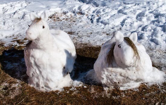 canva rabbits made out of snow MADDMm9GOVM