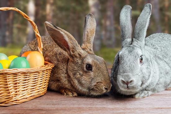 canva rabbits with easter egg basket MAEbcHW3poU