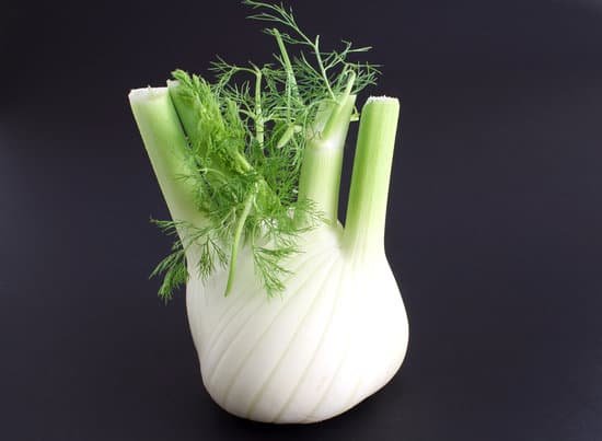 canva raw fennel MADBlQk Cq4