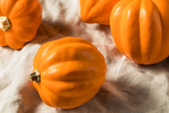 canva raw organic golden acorn squash MADITAjKOQs