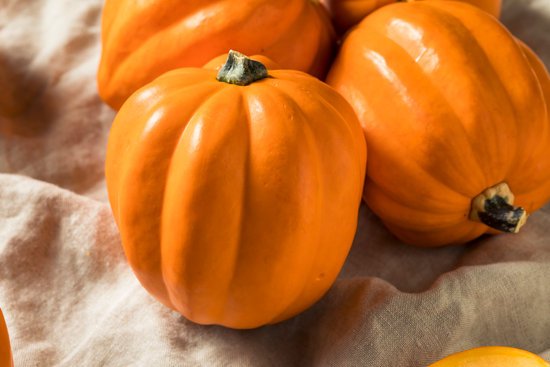 canva raw organic golden acorn squash