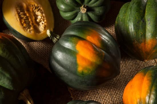 canva raw organic green acorn squash MADBu6SFyzY