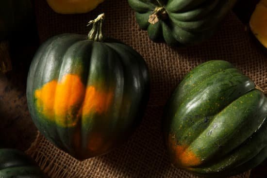 canva raw organic green acorn squash MADBu9DrDoQ