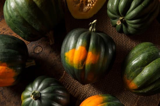 canva raw organic green acorn squash