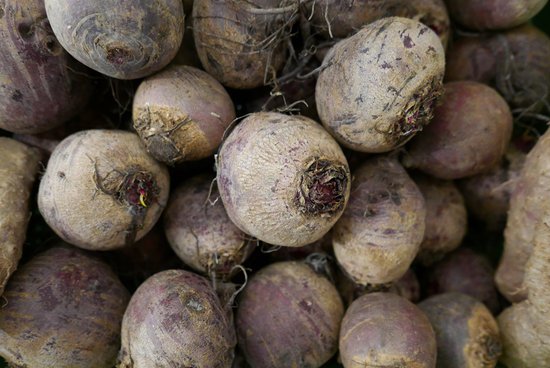 canva red beets MADFyYNpL84
