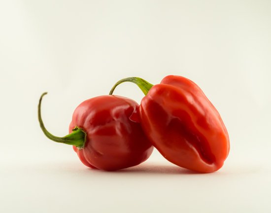 canva red habanero pepper MADFXVlRUpI