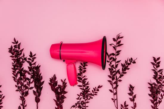 canva red herbs with megaphone on pink background MAEPy5A4T U