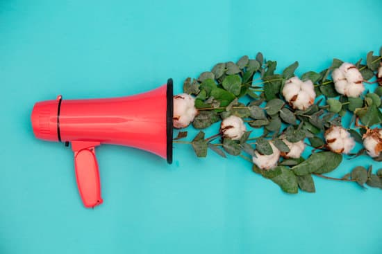 canva red megaphone with cotton and eucalyptus branches MAEPy0ezyy8