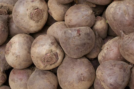 canva red root beets MAC55RLL4Aw