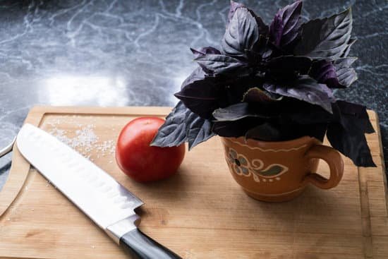 canva red tomatoes and purple basil leaves on wooden cutting board MAEB2NKgtnk