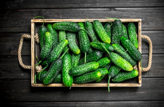 canva ripe cucumber on a tray.