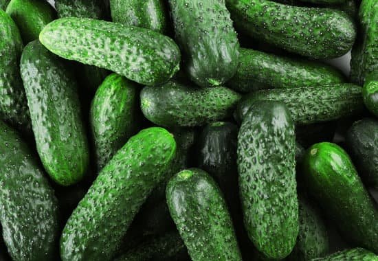 canva ripe cucumbers closeup MAD MiwVXmQ